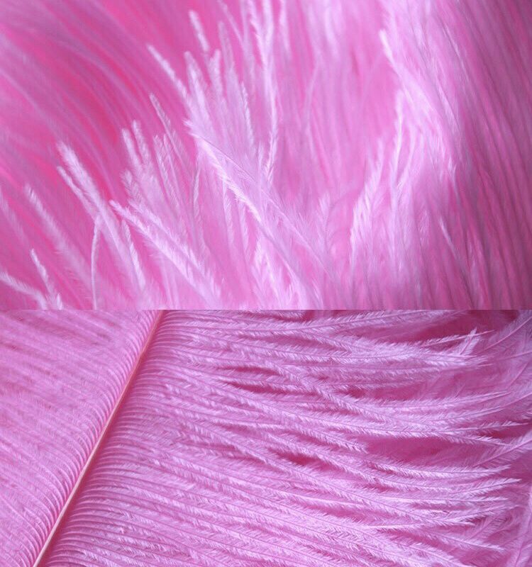 pink feathers