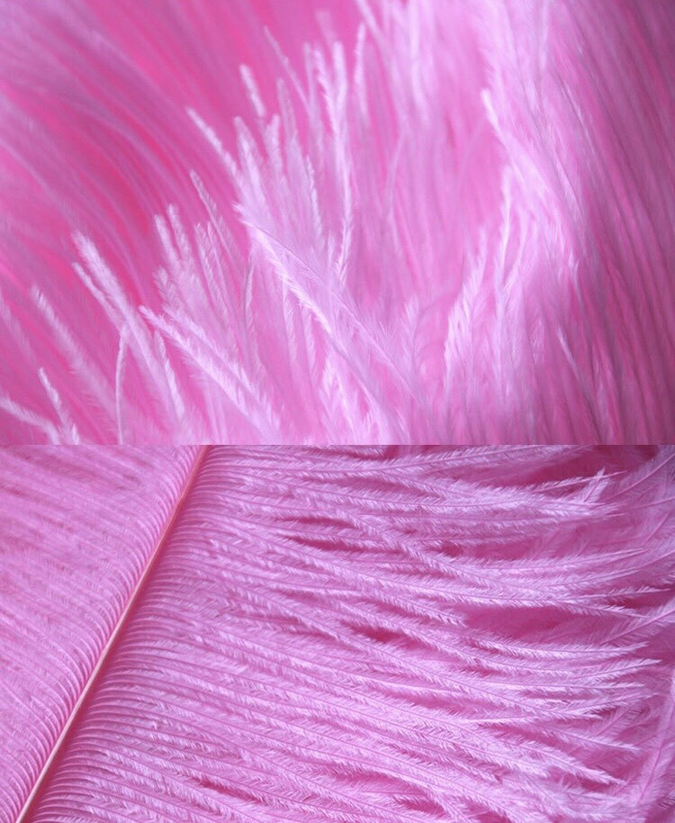 Wholesale 300 pcs Pink Feathers Backdrop, Home Decor